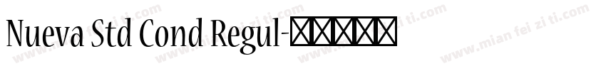 Nueva Std Cond Regul字体转换